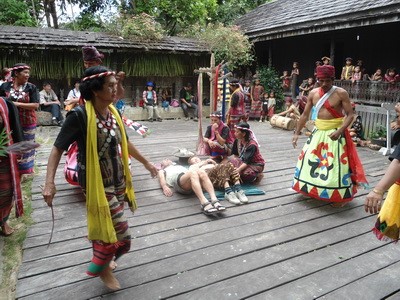 Bild für Kategorie Kalimantan - Borneo