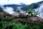 Bild für Kategorie West Papua - Biak Island